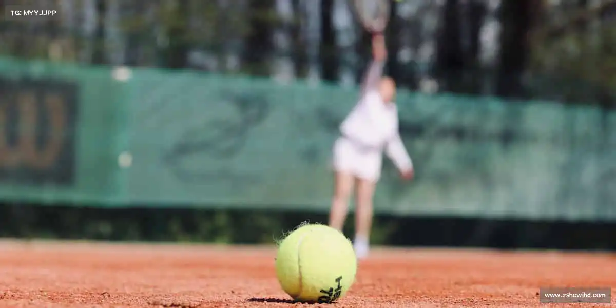 美狮贵宾会ms092021——🥊拳力以赴！释放压力，格斗课程点燃你的斗志🔥